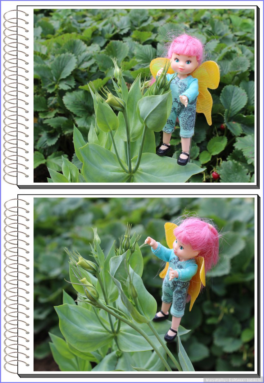 Школа лесных фей. Эустома. Всякая разная (фото 4)