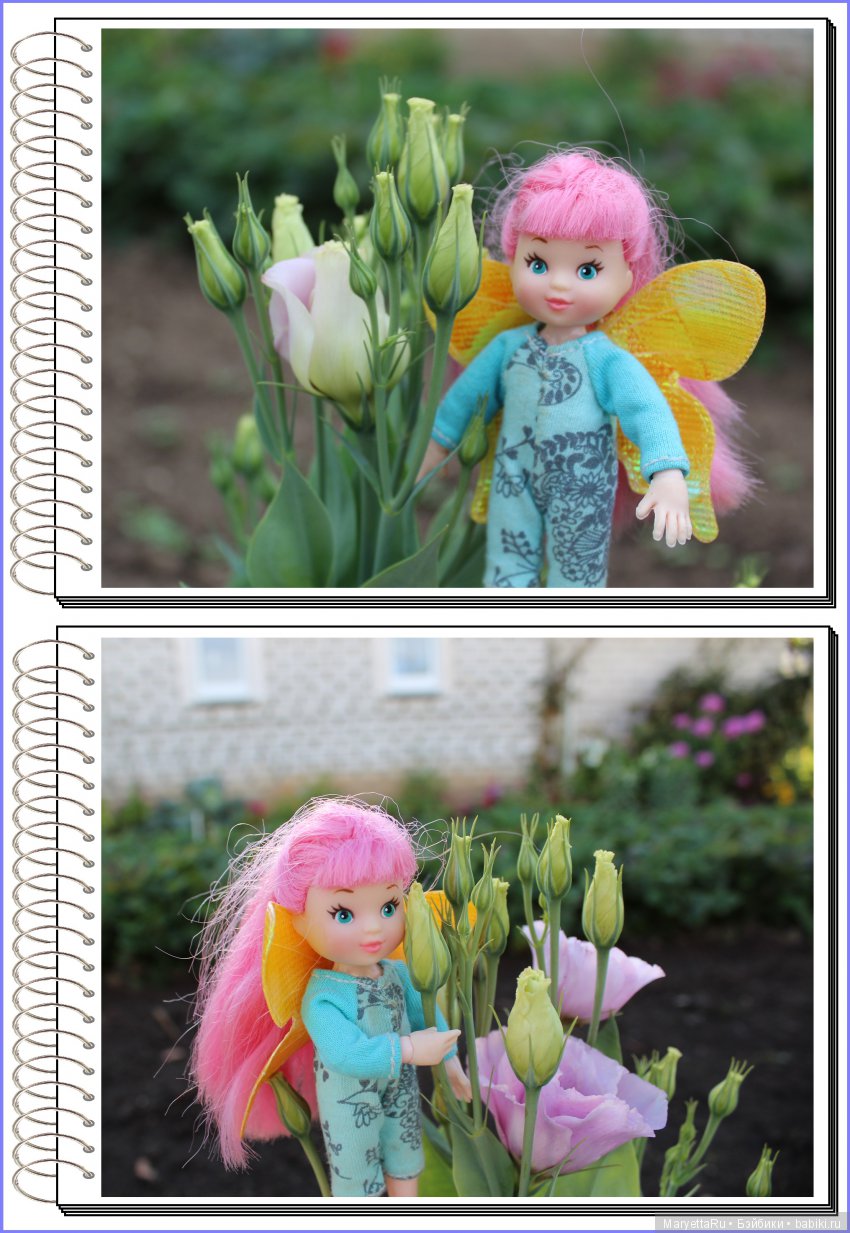 Школа лесных фей. Эустома. Всякая разная