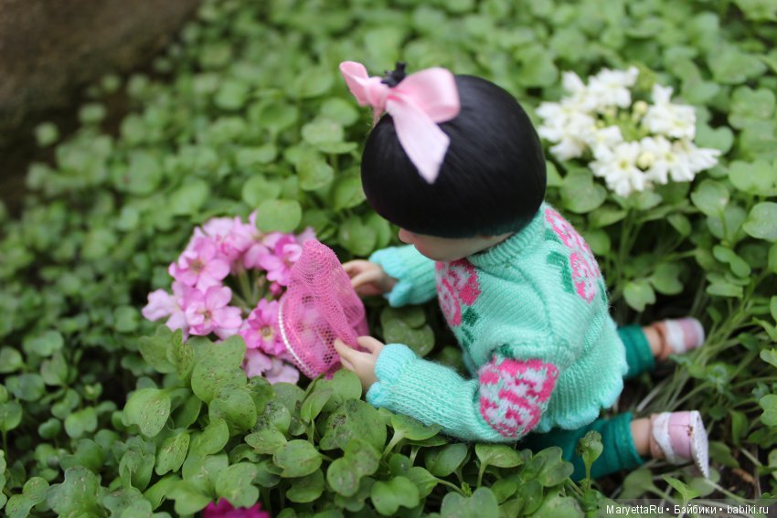 Мелоди и бабочка — Экшн