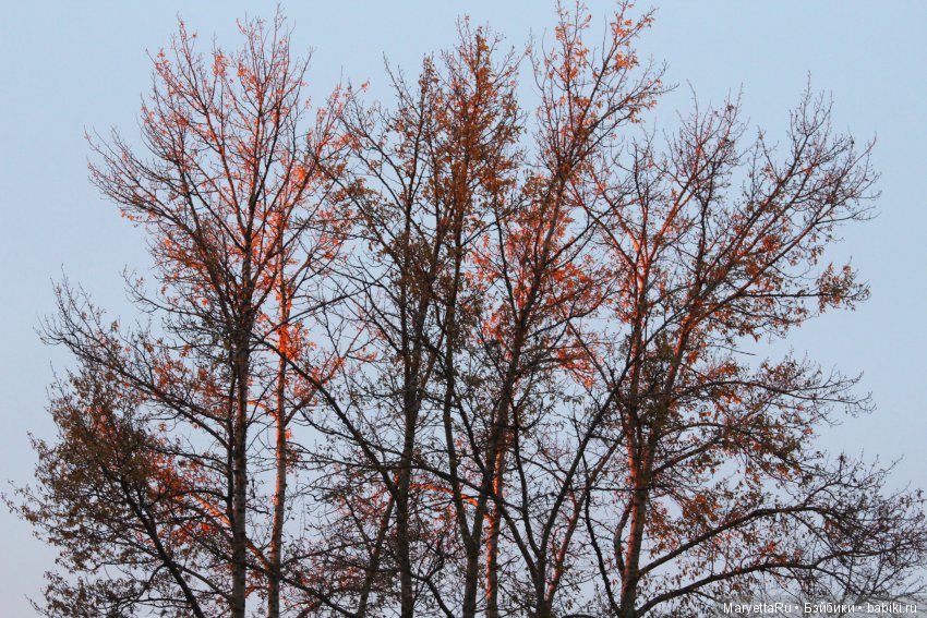 Мелоди и огненная осень — Экшн