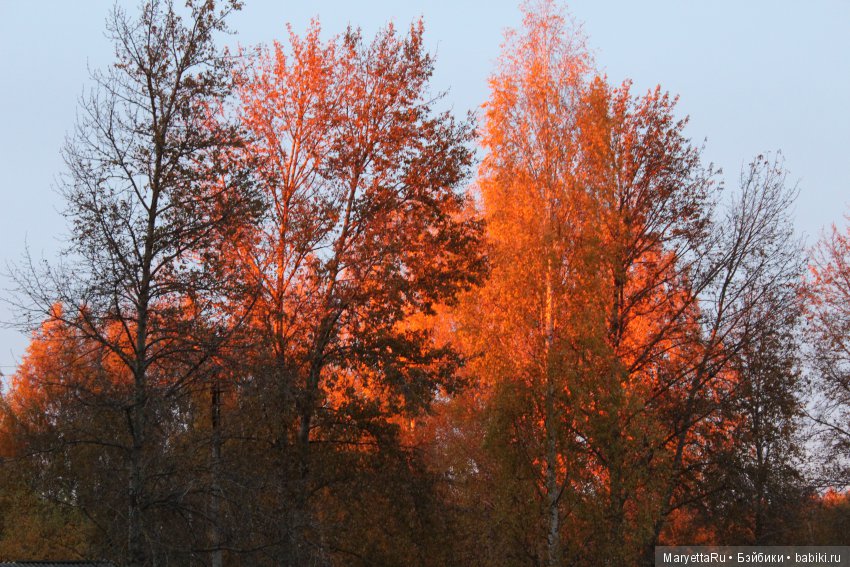Мелоди и огненная осень — Экшн