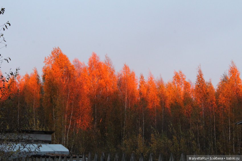 Мелоди и огненная осень — Экшн