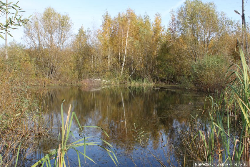 Мелоди и огненная осень — Экшн (фото 2)