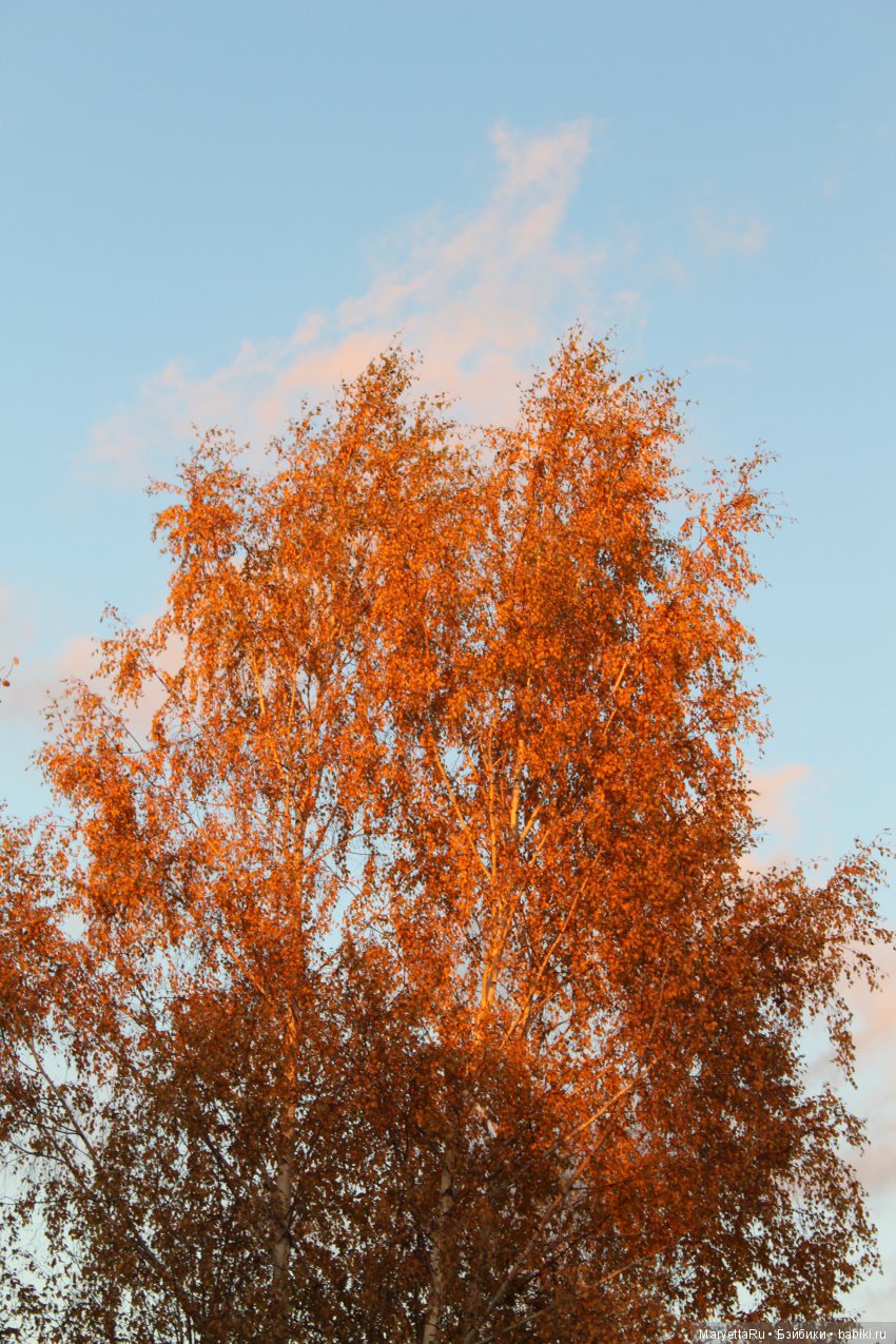 Мелоди и огненная осень — Экшн