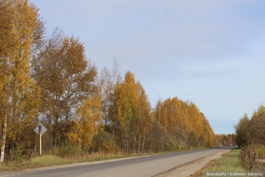 Мелоди и огненная осень — Экшн (фото 9)
