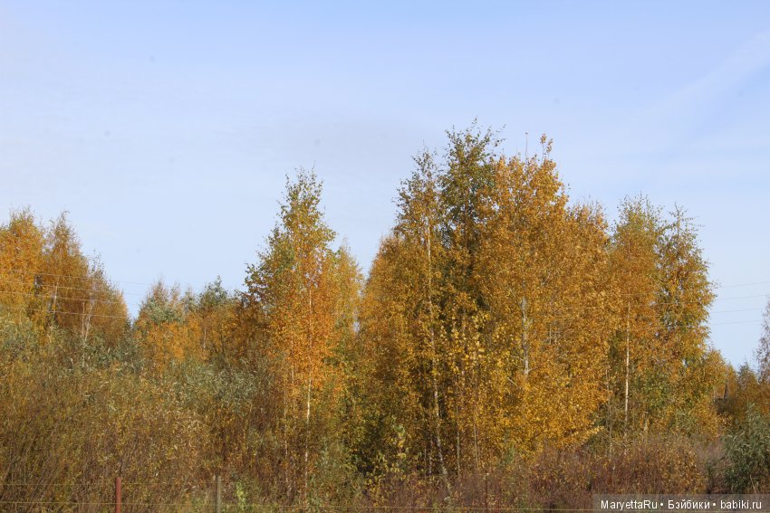 Мелоди и огненная осень — Экшн