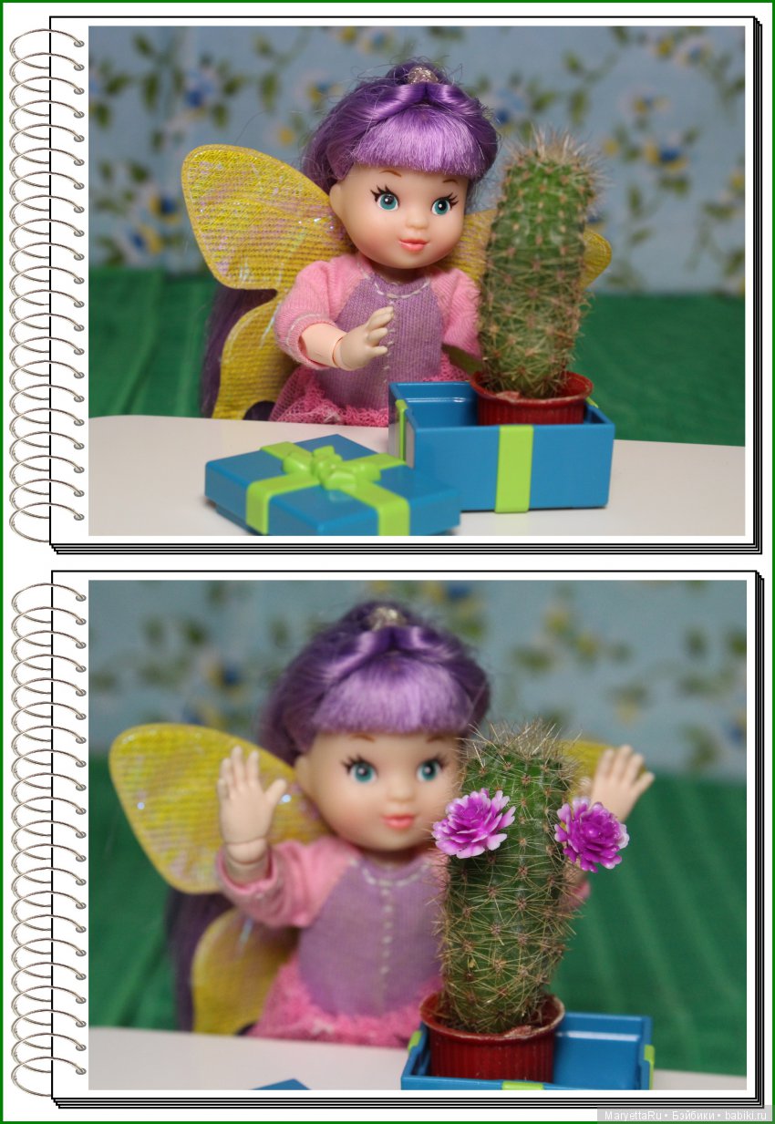 Школа лесных фей. Три дня рождения