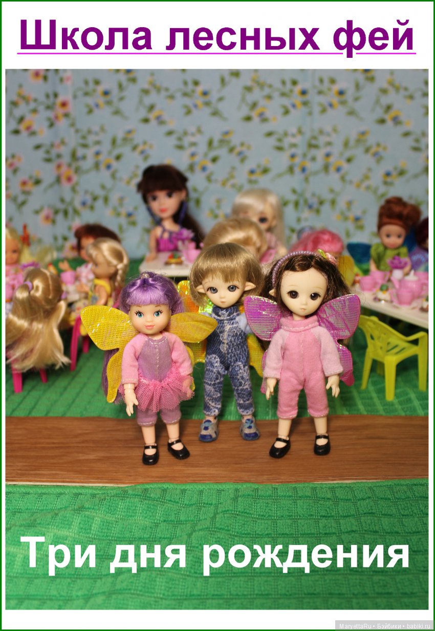 Школа лесных фей. Три дня рождения
