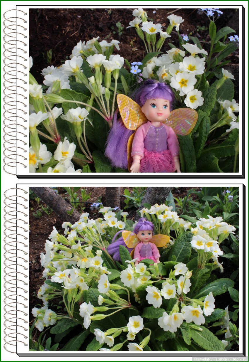 Школа лесных фей. В примулах (фото 10)