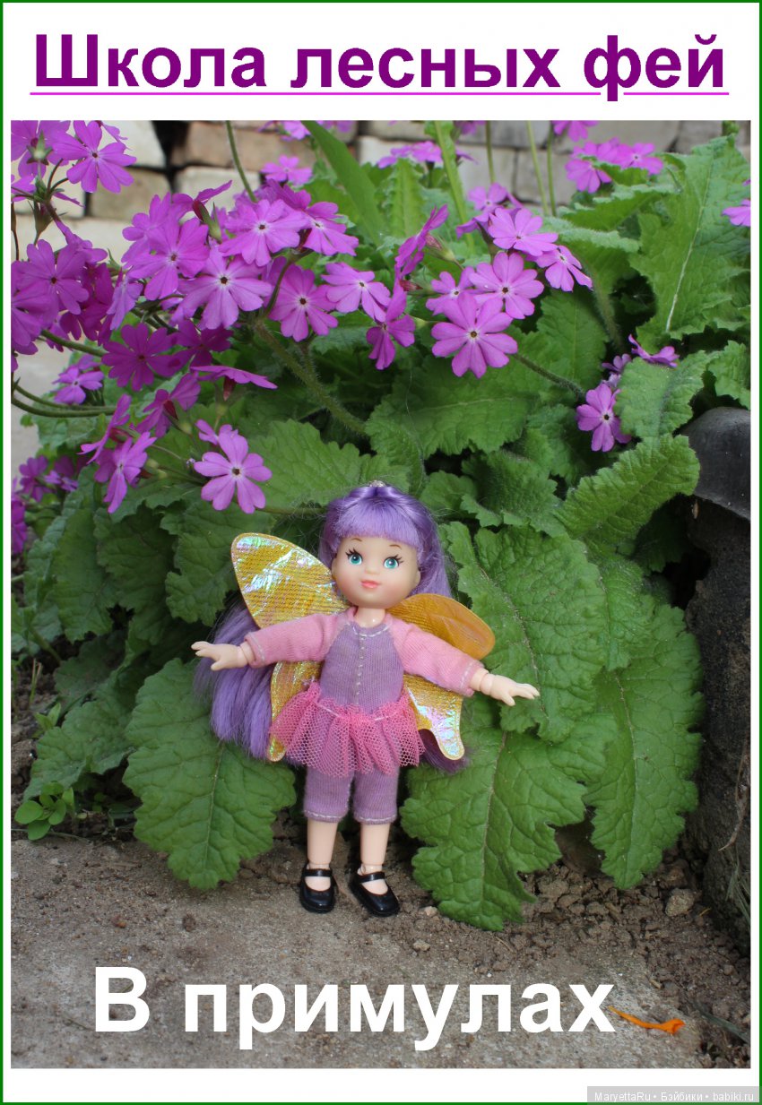 Школа лесных фей. В примулах
