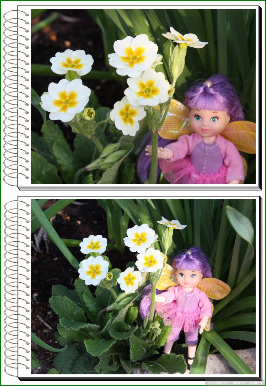 Школа лесных фей. В примулах