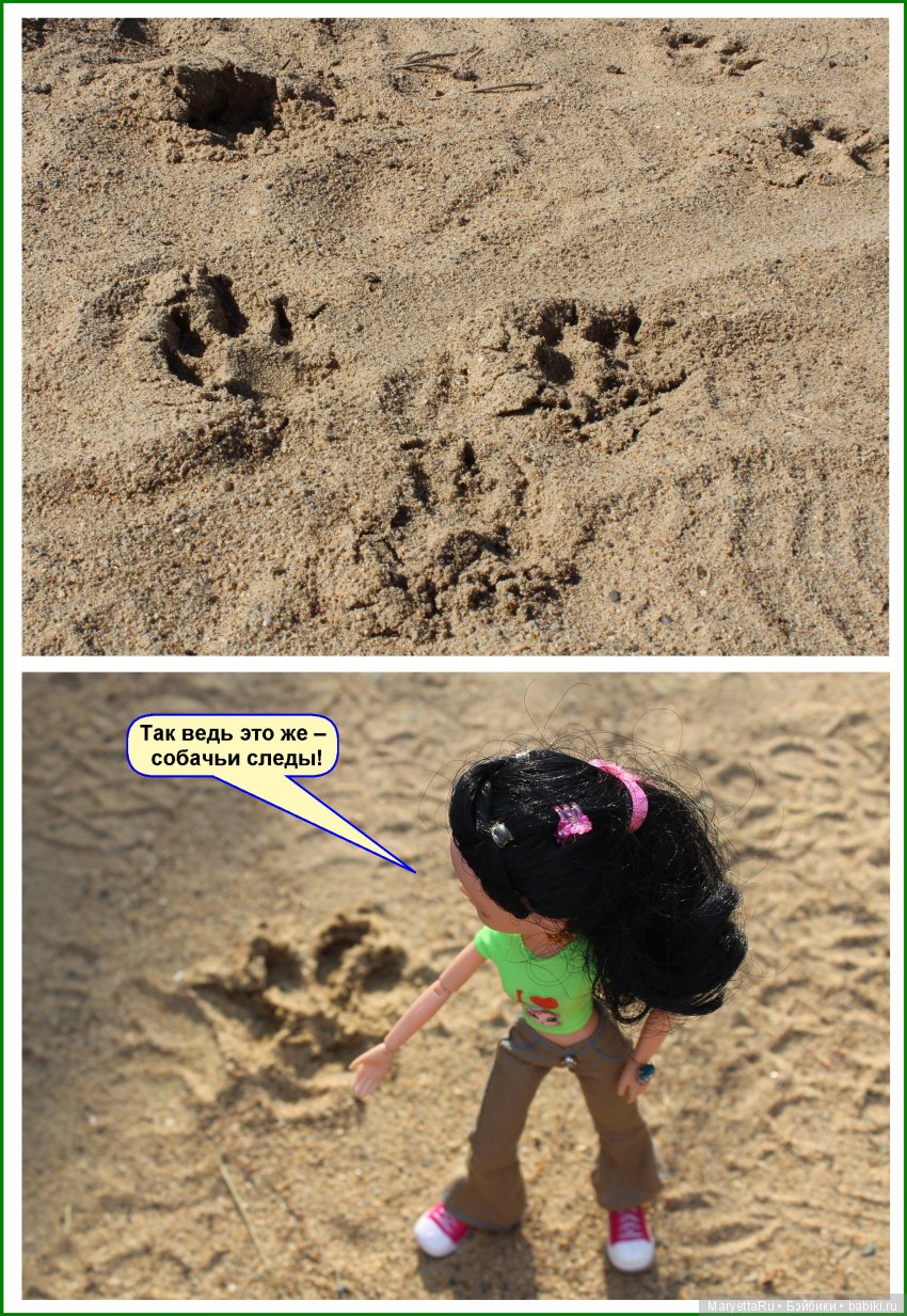 Школа лесных фей. ИХ следы