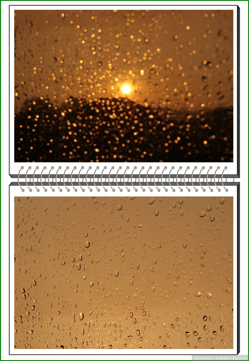 Школа лесных фей. Мокрый и довольный