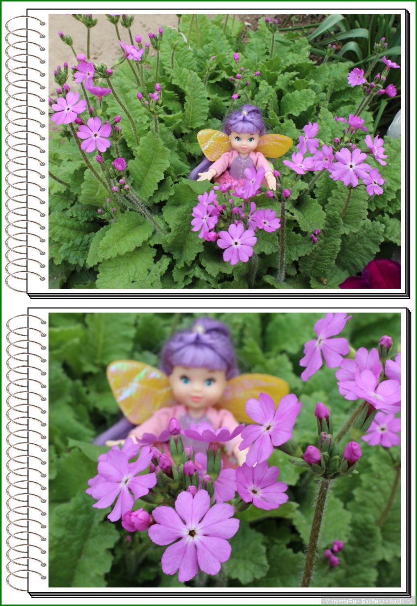 Школа лесных фей. В примулах