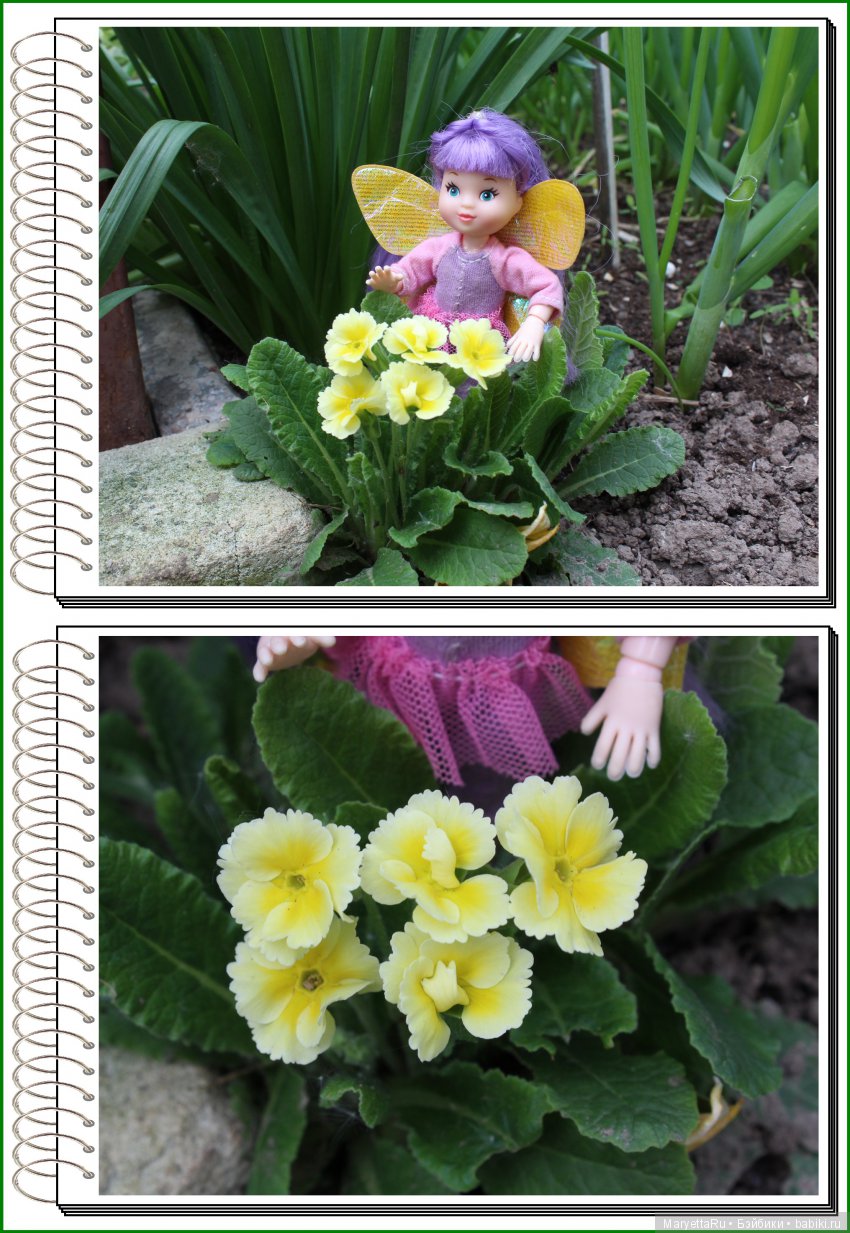 Школа лесных фей. В примулах