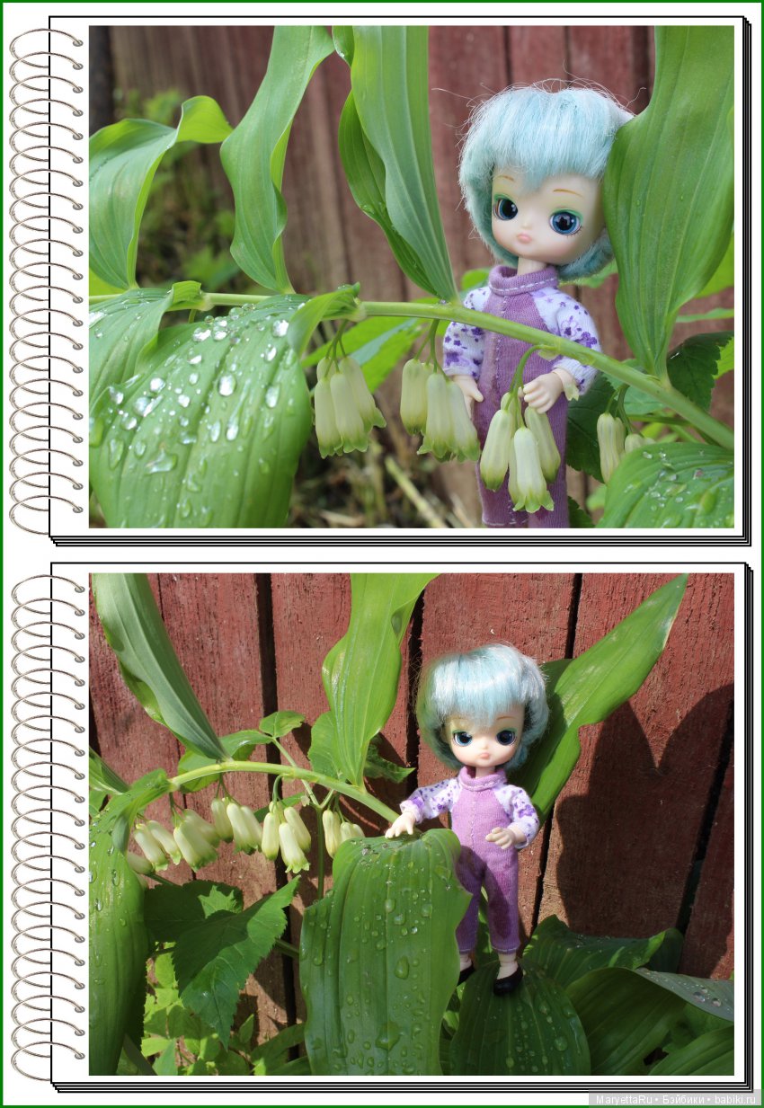 Школа лесных фей. Мокрый и довольный (фото 5)