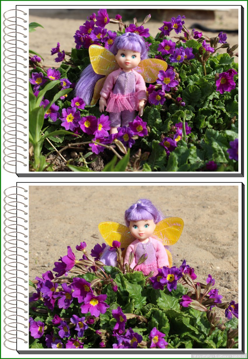 Школа лесных фей. В примулах (фото 4)