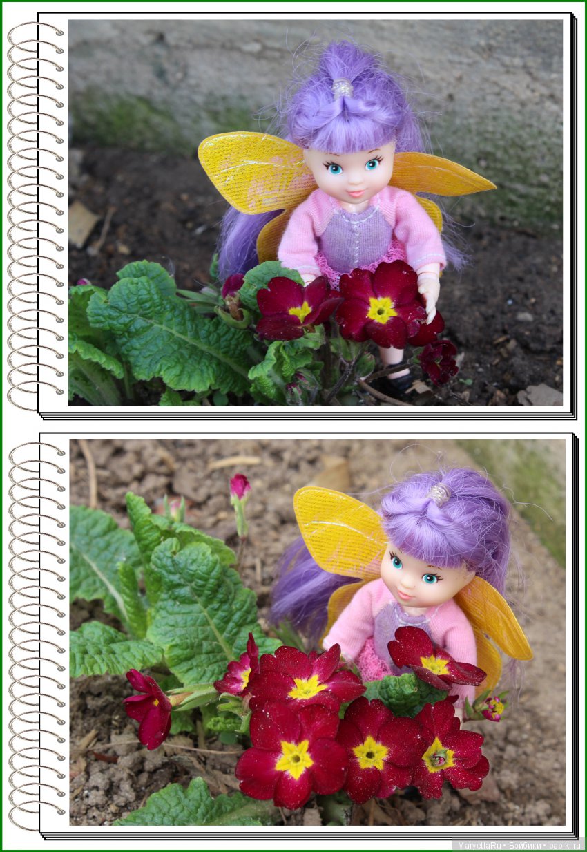 Школа лесных фей. В примулах (фото 7)