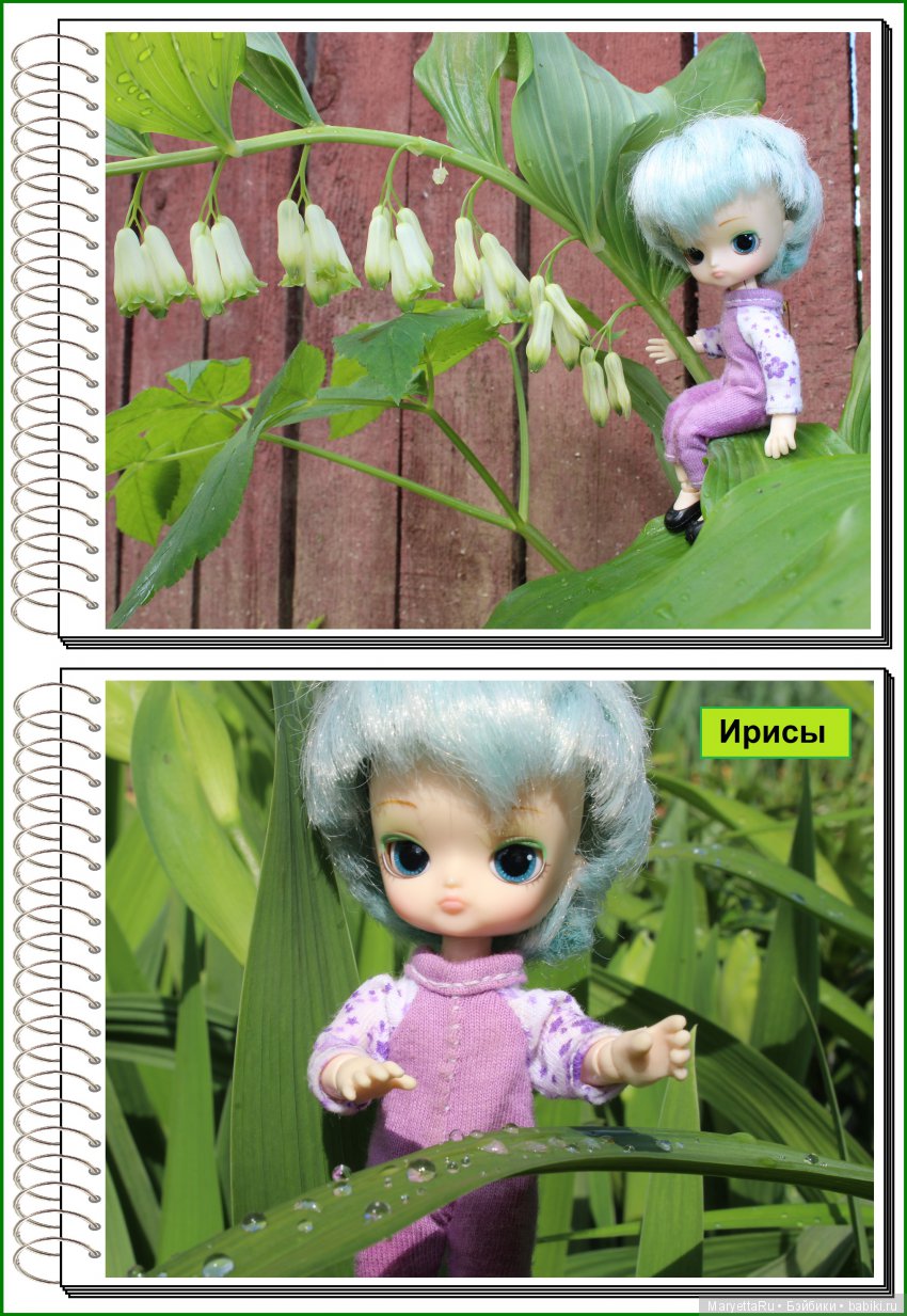 Школа лесных фей. Мокрый и довольный (фото 7)