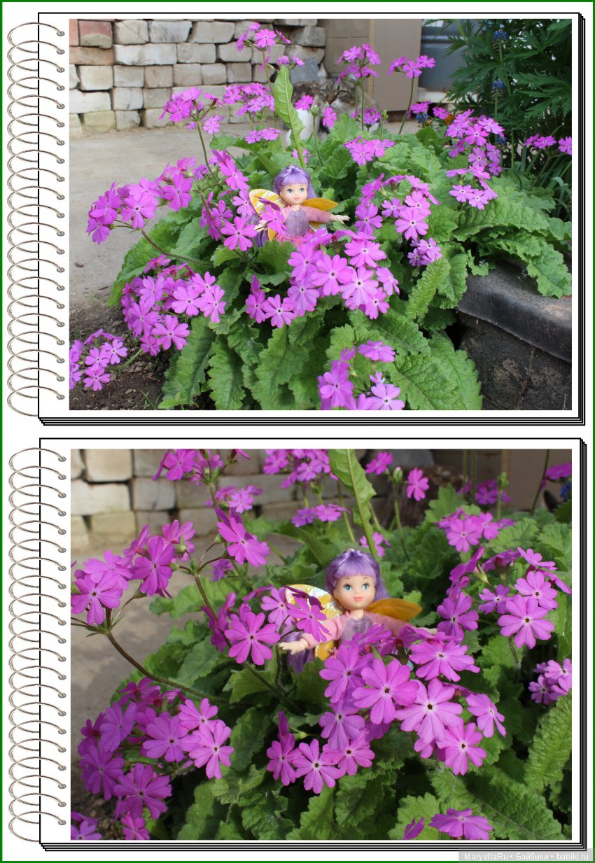 Школа лесных фей. В примулах