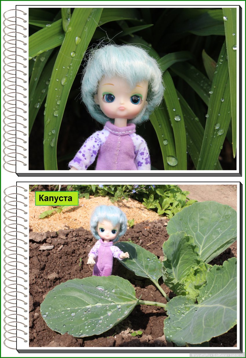 Школа лесных фей. Мокрый и довольный (фото 9)