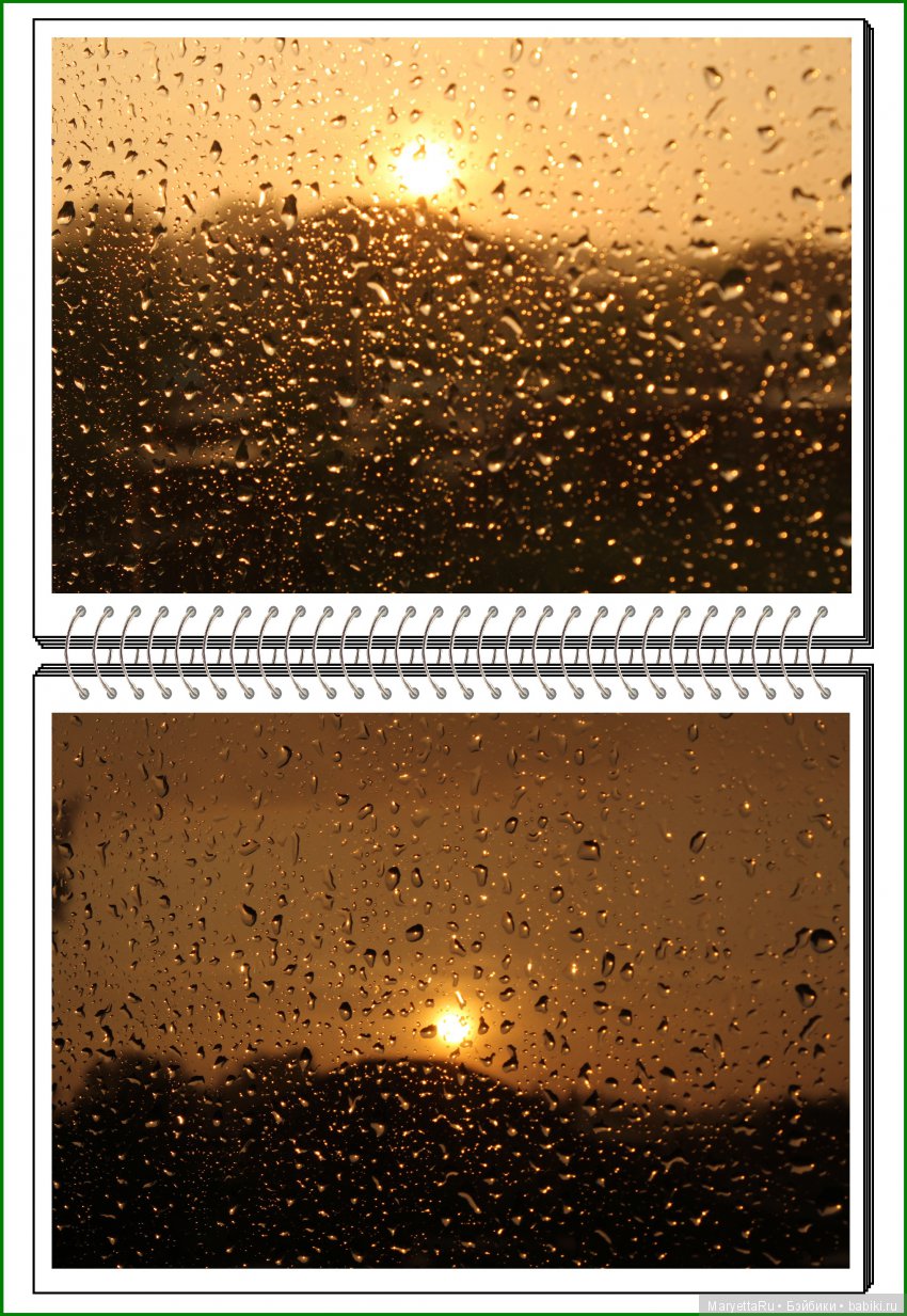 Школа лесных фей. Мокрый и довольный