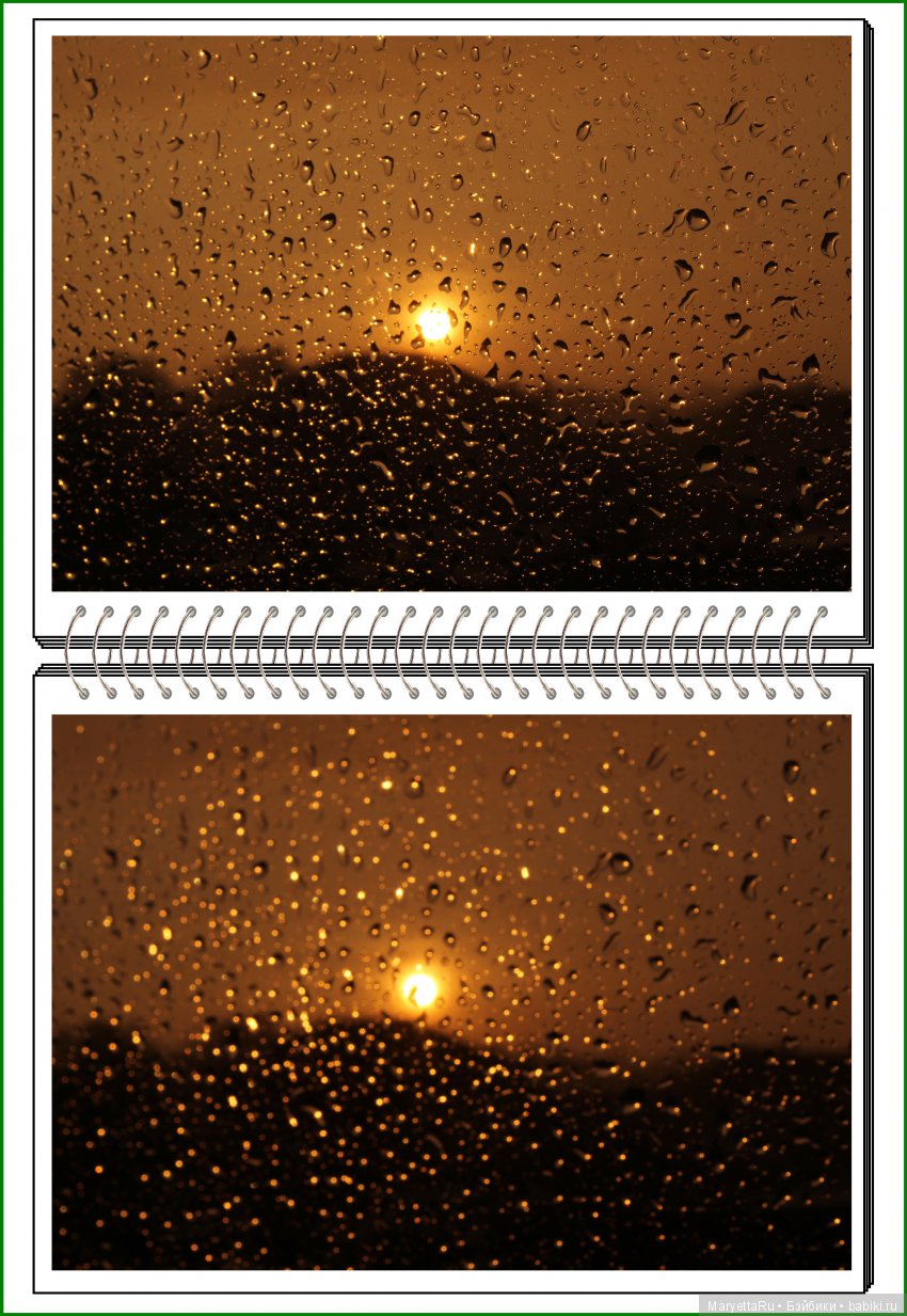 Школа лесных фей. Мокрый и довольный