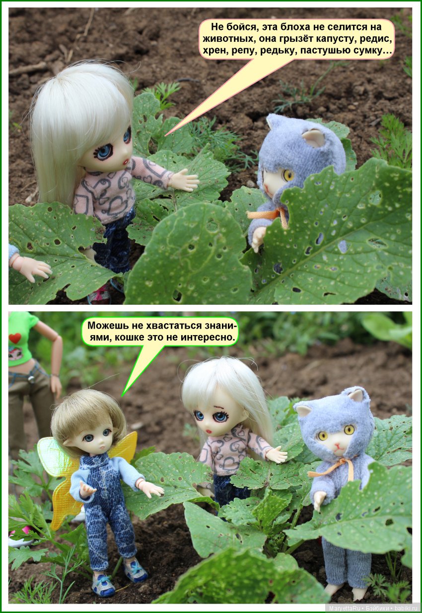 Школа лесных фей. ИХ следы