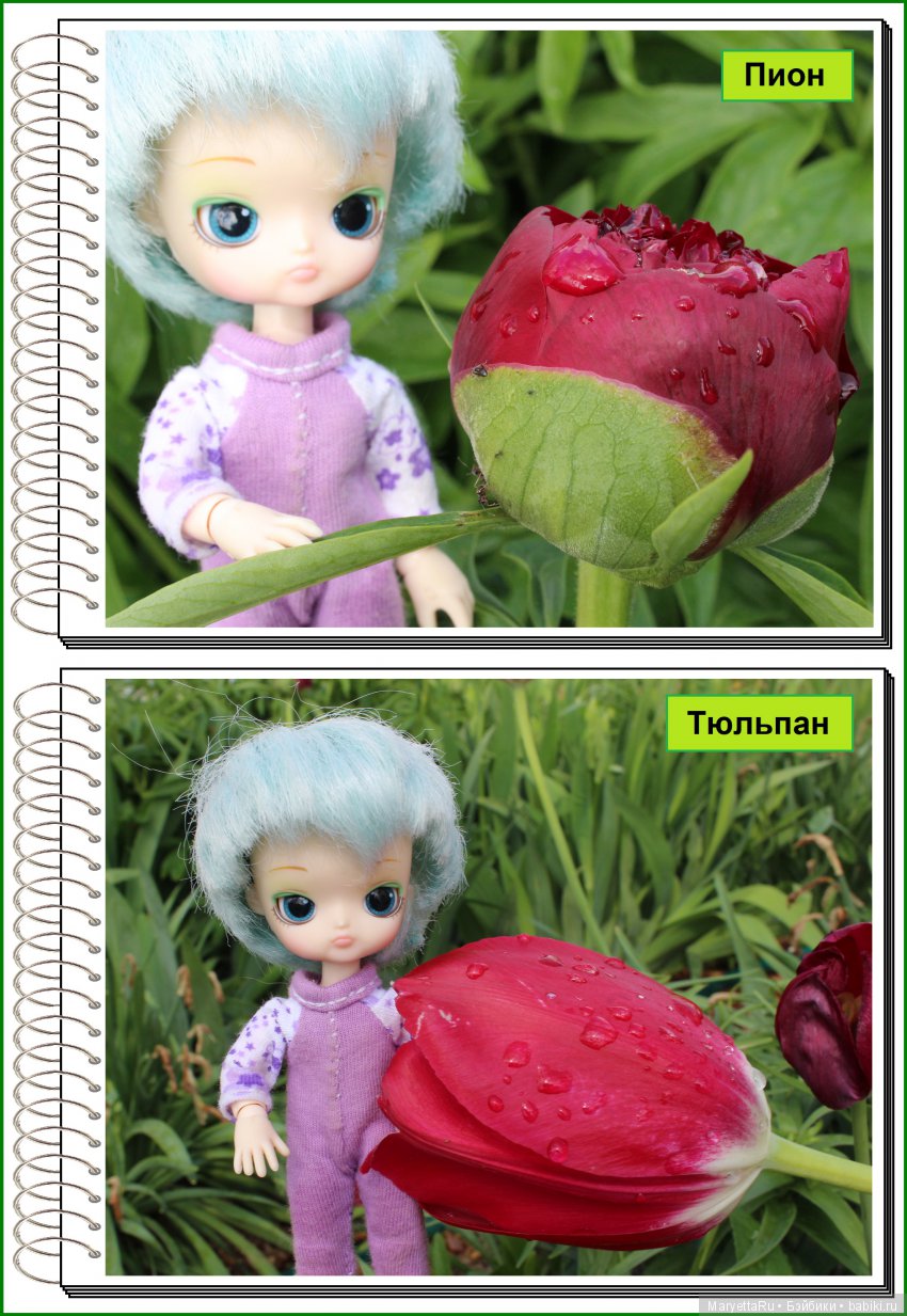 Школа лесных фей. Мокрый и довольный