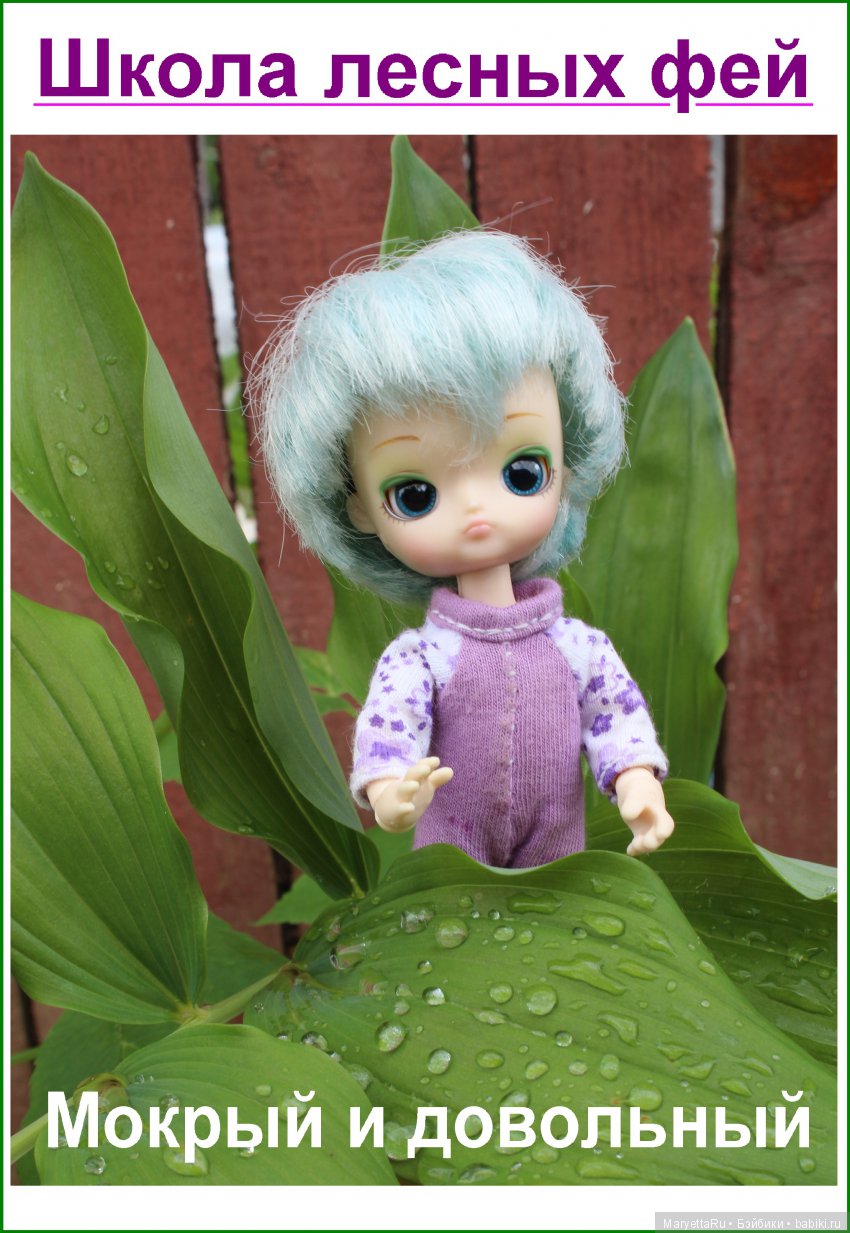 Школа лесных фей. Мокрый и довольный