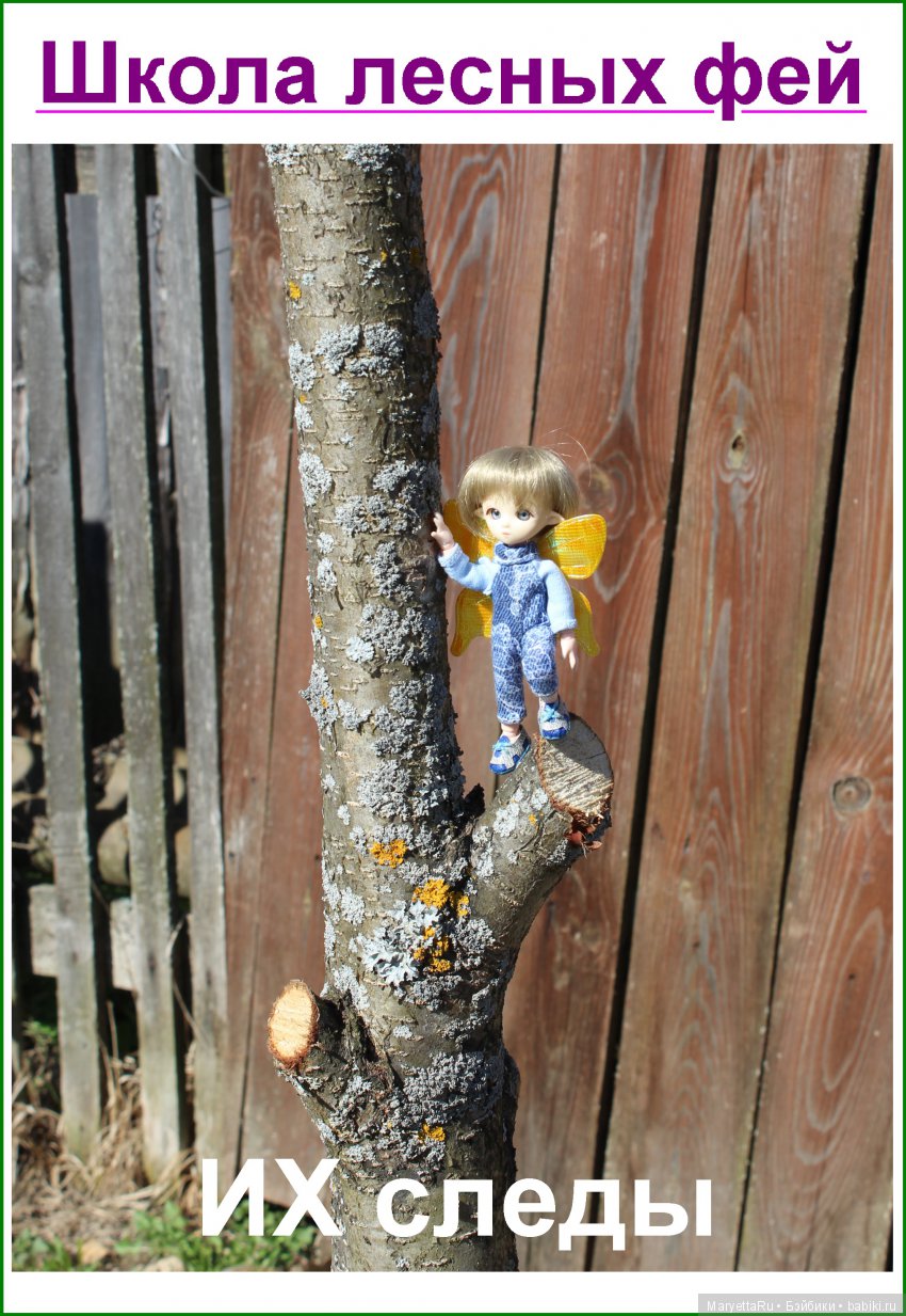 Школа лесных фей. ИХ следы