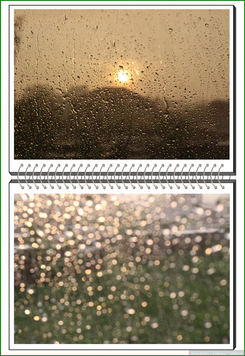 Школа лесных фей. Мокрый и довольный