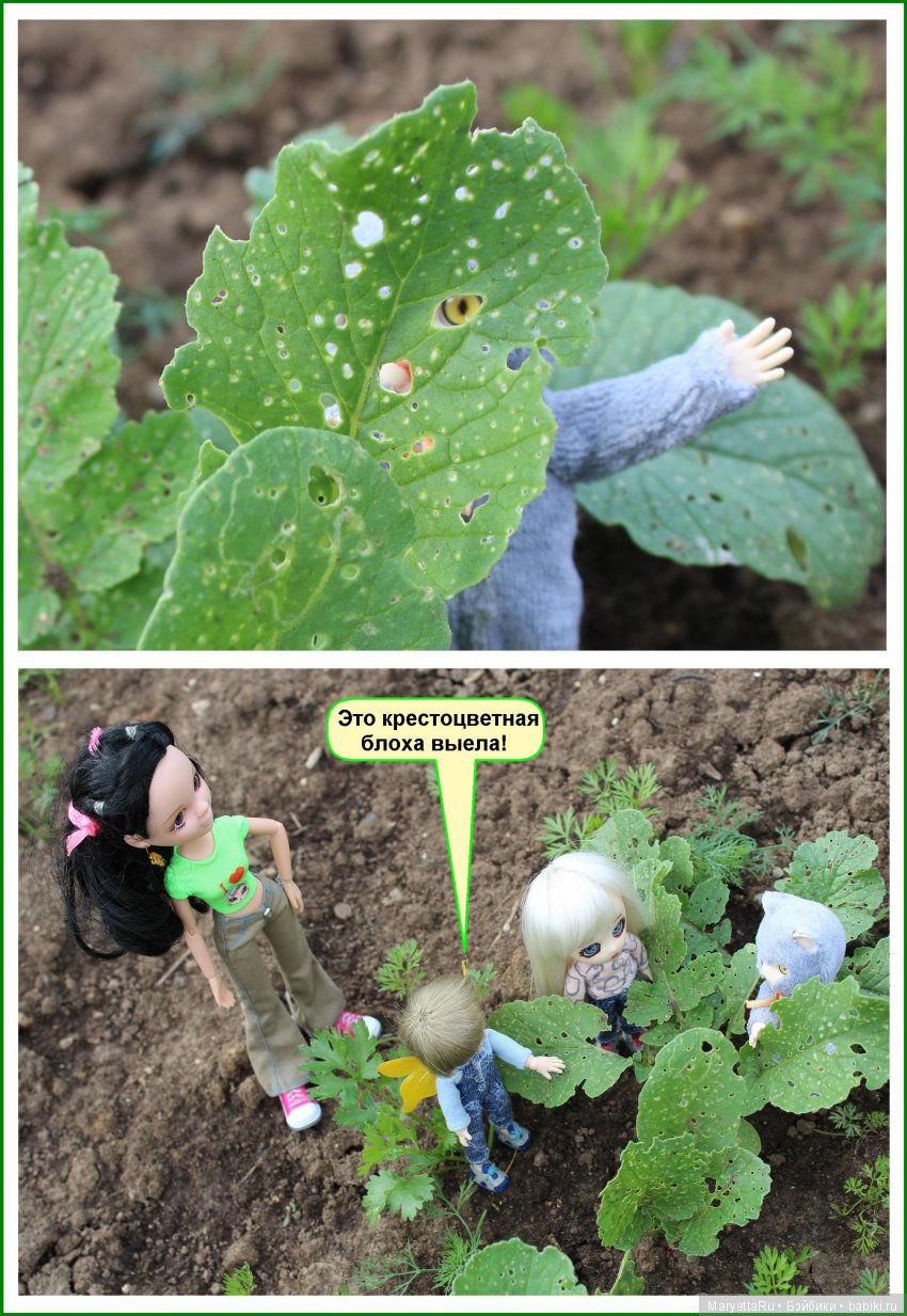 Школа лесных фей. ИХ следы