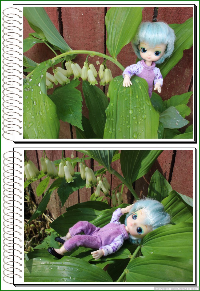 Школа лесных фей. Мокрый и довольный (фото 6)