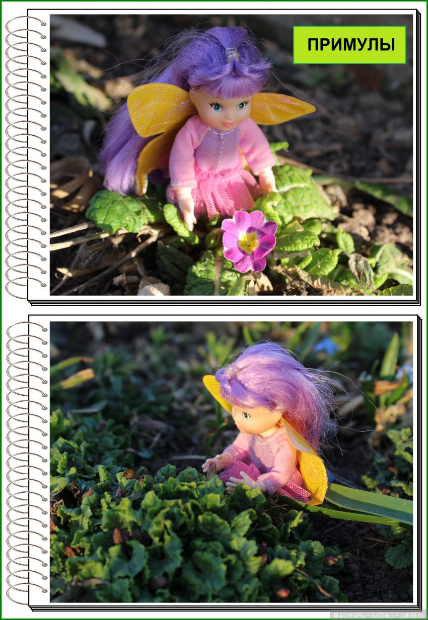 Школа лесных фей. В примулах (фото 2)