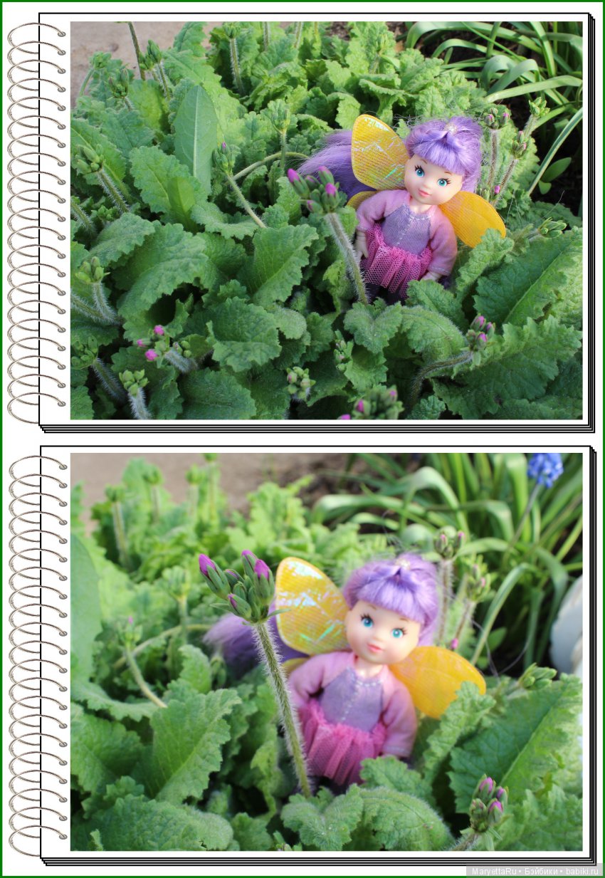 Школа лесных фей. В примулах