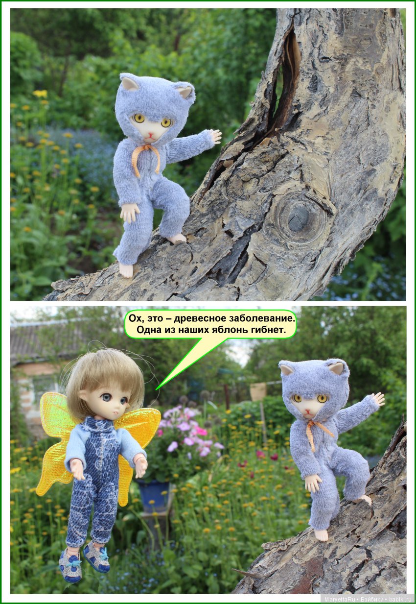 Школа лесных фей. ИХ следы