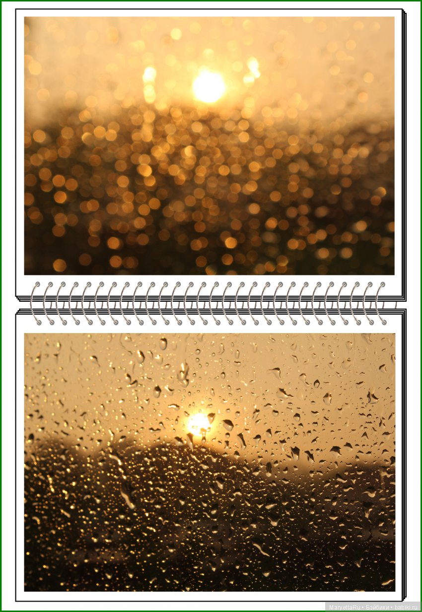 Школа лесных фей. Мокрый и довольный