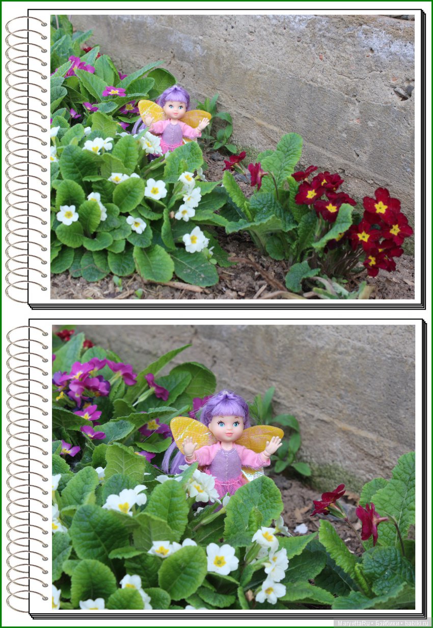 Школа лесных фей. В примулах (фото 8)