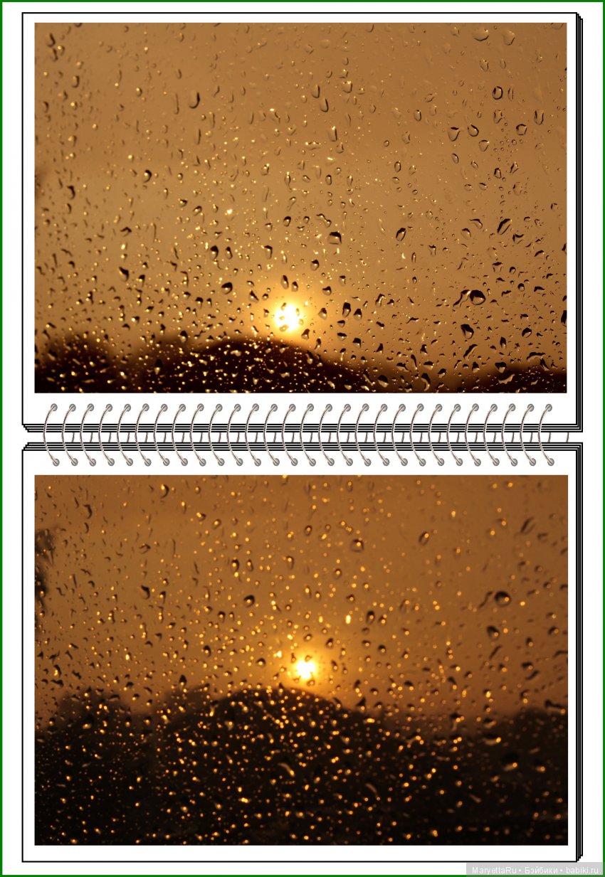 Школа лесных фей. Мокрый и довольный