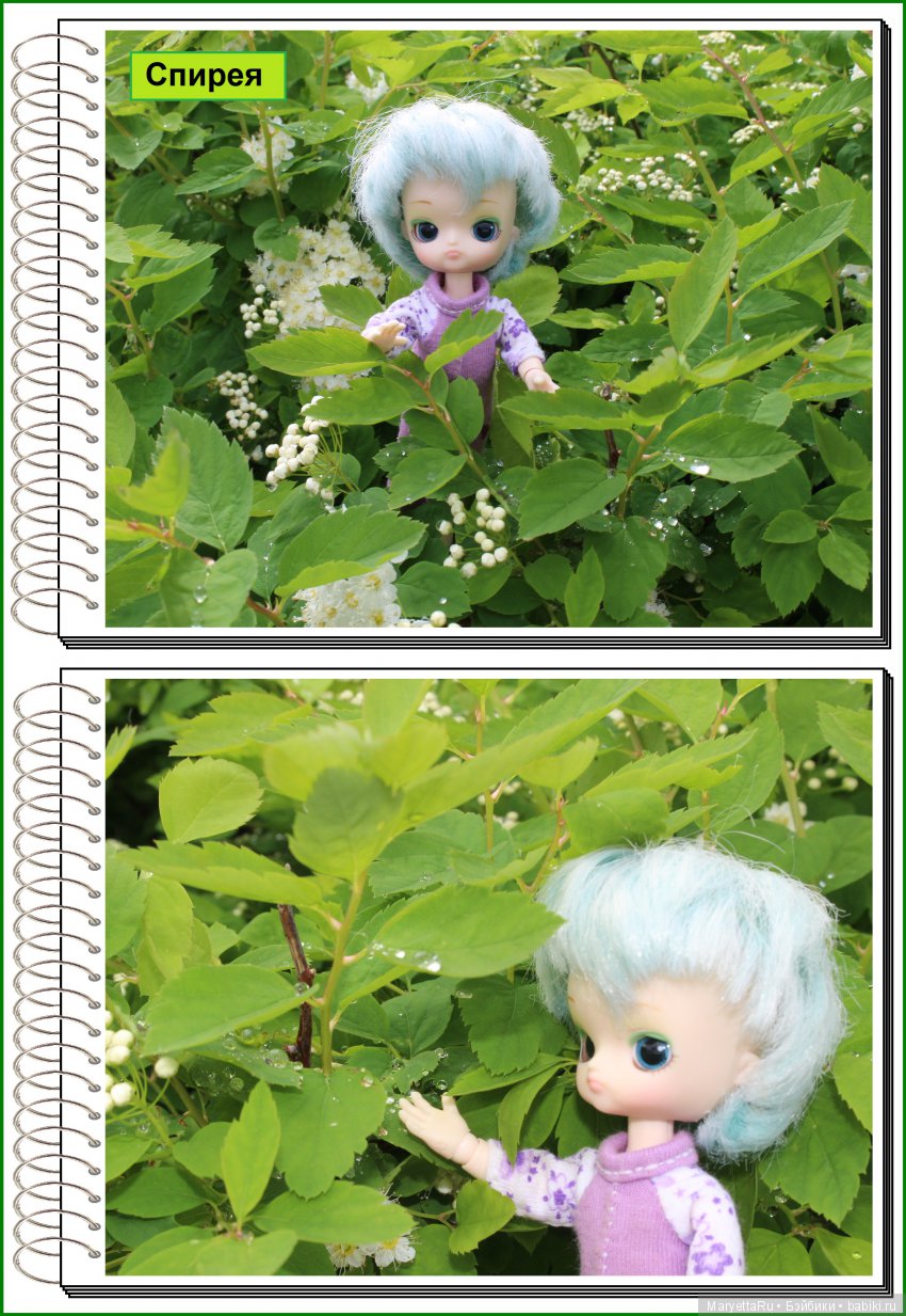 Школа лесных фей. Мокрый и довольный (фото 2)