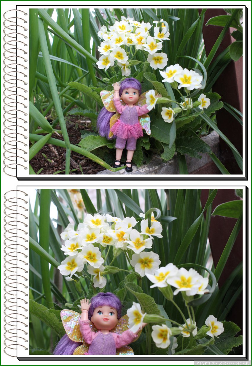 Школа лесных фей. В примулах