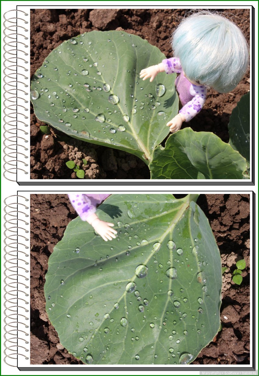 Школа лесных фей. Мокрый и довольный (фото 10)