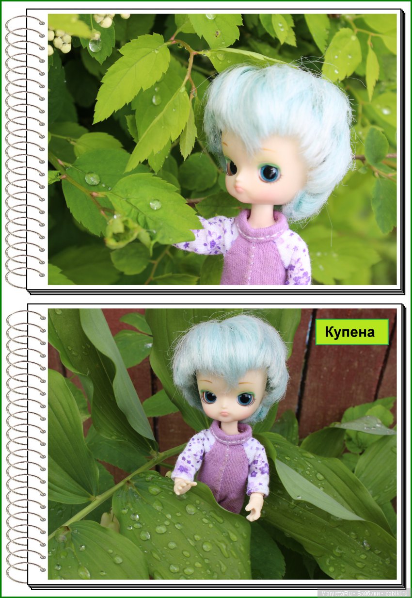 Школа лесных фей. Мокрый и довольный (фото 3)