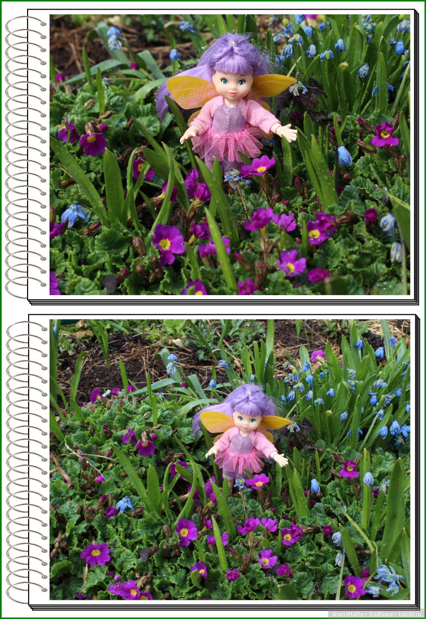 Школа лесных фей. В примулах (фото 3)