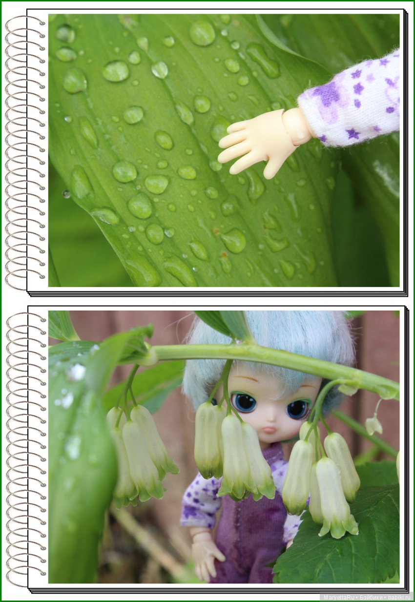 Школа лесных фей. Мокрый и довольный (фото 4)