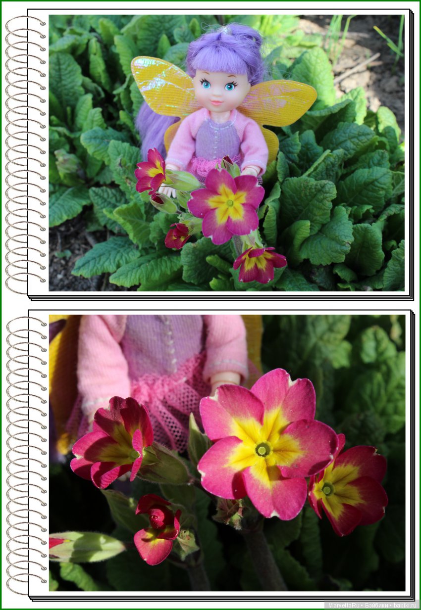 Школа лесных фей. В примулах