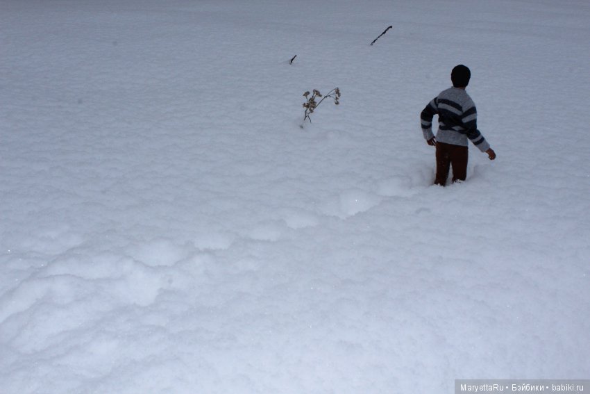 Дед Мороз и эльфы. Пролог