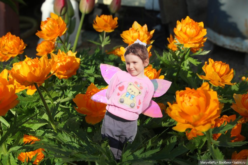 Как послать Фотошоп лесом