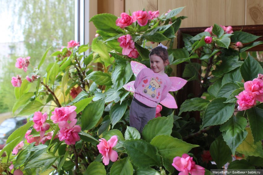 Как послать Фотошоп лесом (фото 6)